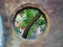 -常寂光寺