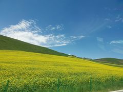 -扁都口生态休闲旅游区