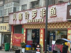 -风鑫铃罗非鱼(道沟店)