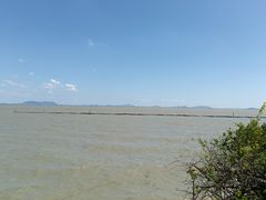 -贡湖湾湿地公园