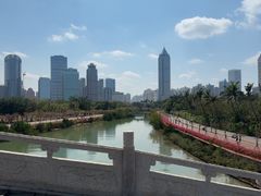 -万绿园