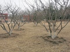 -南关北海公园