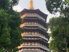 -浙江西子宾馆·瑶园咖啡厅