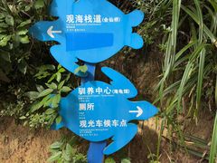 -广东惠东海龟国家级自然保护区