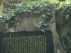 -广州兰圃