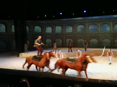 -cavalia·舞马
