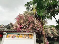 -深圳国际园林花卉博览园