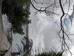 -塞尔夫岛