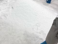 -Mr·Kuma酷么先生雪之乐园