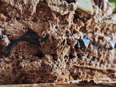 -大连铂尔曼酒店-铂尔曼美食廊 Pullman Deli