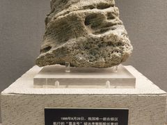 -上海公安博物馆