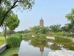 -西海子公园