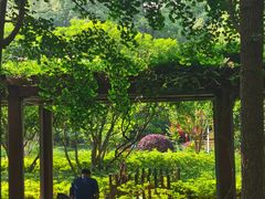 -徐家汇源景区-衡山公园