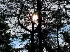 -重庆雨台山风景区