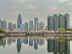 -西北湖绿化广场