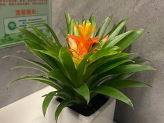 -橙果24h自习室(花园桥店)
