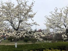 -汇泉广场