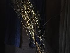 -都氏家DUSJOY(翡翠城店)