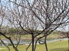 -洨河生态公园