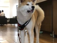 -YCHL Studios健身工作室(市二宫店)
