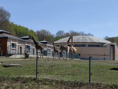 -哈尔滨北方森林动物园