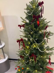 -JNK皮肤管理中心