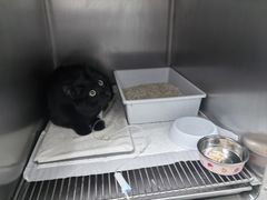 -北京观赏动物医院·24小时大型综合·猫专科·异宠专科