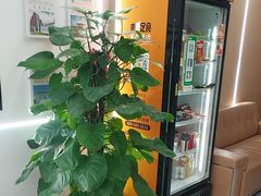 -优路教育·建造师消防安工造价经济师考研(魏公村校区)