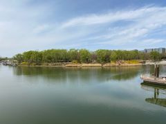 -大兴滨河森林公园