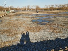 -大兴滨河森林公园