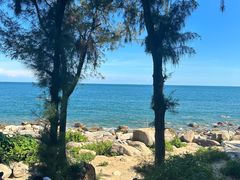 -广东惠东海龟国家级自然保护区