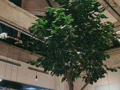 -大树餐厅(红旗街万达店)