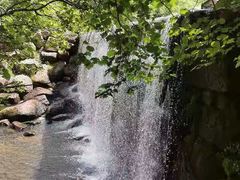 -汤旺河林海奇石景区