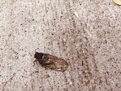 -鬼笑石后山停车场