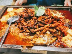 重庆豆花烤鱼-探鱼·鲜青椒爽麻烤鱼(朝阳悠唐广场店)