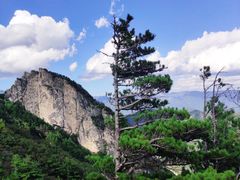 -牛背梁国家森林公园