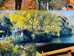 -杭州半山国家森林公园