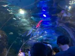 -大连圣亚海洋世界