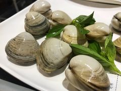 沙白-海大大蒸汽海鲜餐厅·粤菜·特色小炒(欢乐颂店)