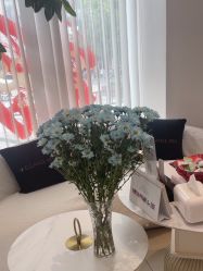 -WENDY·温迪皮肤管理