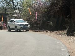 -天女山森林公园