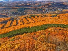 -帽儿山国家森林公园