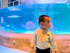 -沈阳海洋探索中心