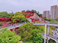 -仙岳公园