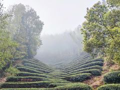 -婺源月亮湾