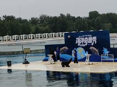 -秦皇岛乐岛海洋王国