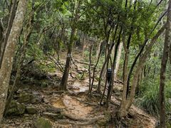 -梧桐山风景名胜区