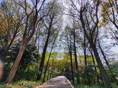 -尚贤河湿地
