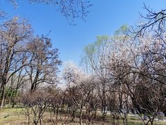 -玲珑塔公园