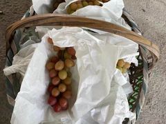 -马陆小张葡萄园农家乐